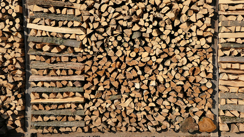 Palivové dřevo bez práce aneb když se nechcete stát dřevorubcem