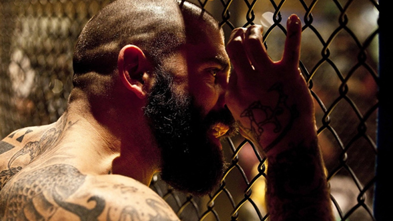 Fotografie: Popularita MMA letí raketově vzhůru